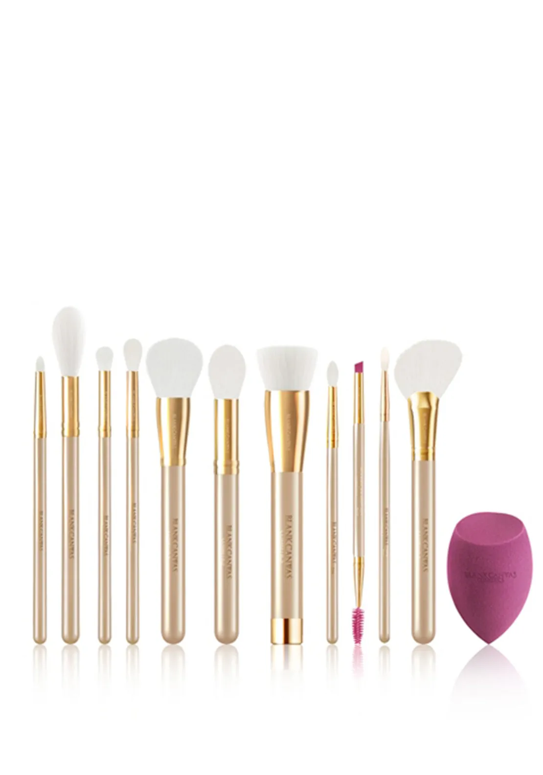 Blank Canvas 12 Piece Makeup Brush Gift Set