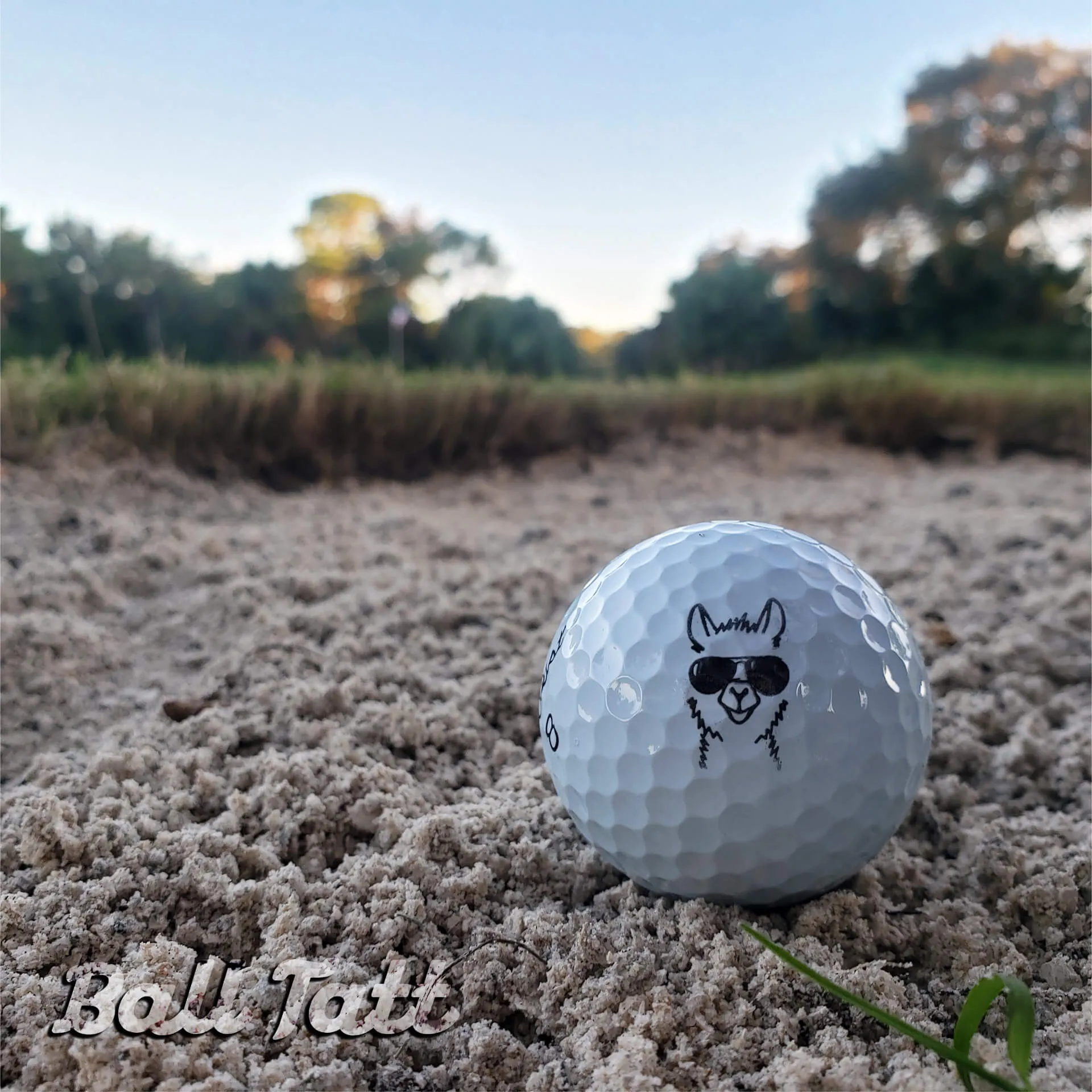 No Probllama Golf Ball Stamp