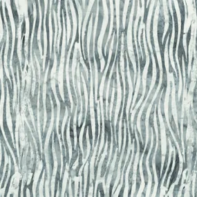 Noir - Zebra Stripe Grey