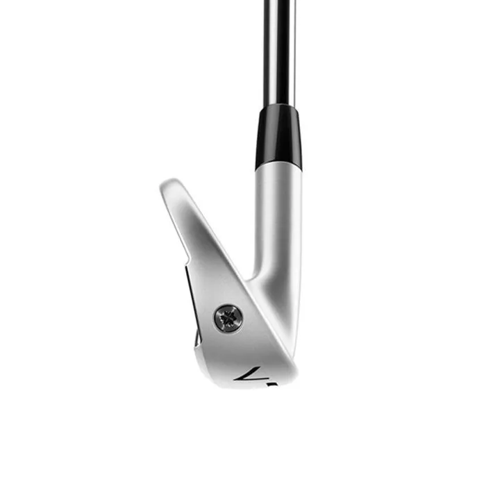 TaylorMade P770 (4-P) Steel Irons (Prior Generation)